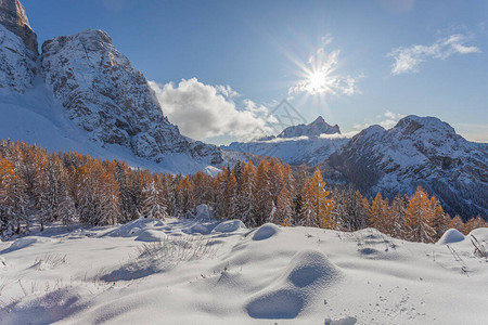 橙色落叶松森林冬季全景与在意大利多洛米蒂山Civetta山的顶部概念图片