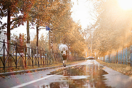 公园的秋天雨背景图片