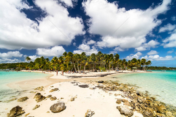 瓜德罗普热带岛屿瓜德罗普岛美图片