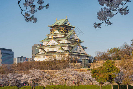 美丽的大阪城堡在日本大阪的樱花春季图片