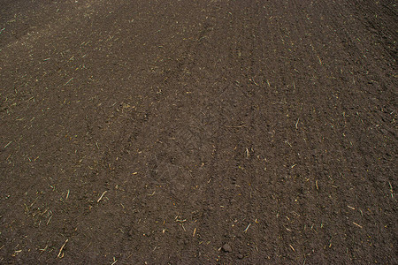 用黑色肥沃的土壤犁过播种的农田图片