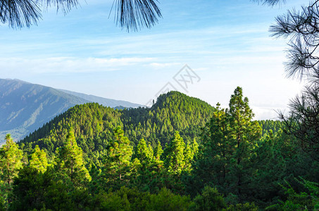 从加那利群岛LaPalma的Rutadelos火山峰上图片