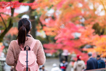 快乐的女游客在花园里看五颜六色的树叶图片