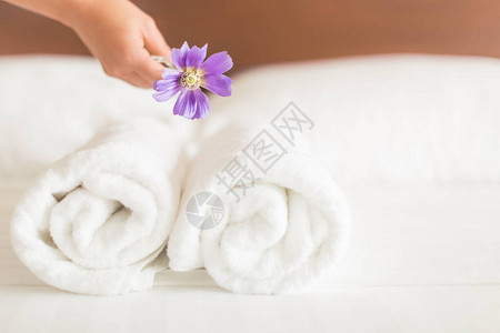 清洁服务把一朵紫花放在干净的白色床单上在酒店房间里放两图片