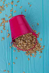 倒下的粉红色桶倒出小麦蓝色木质背景图片