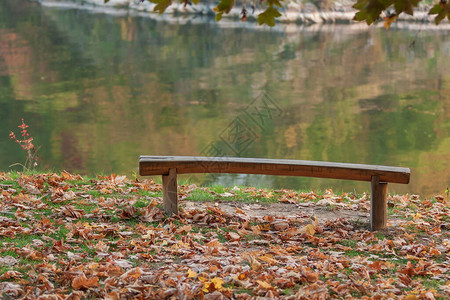 天然木板凳由一棵树制成树站在水边图片
