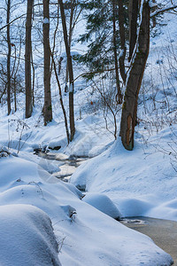 一片小溪流下的积雪覆图片