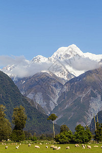 南阿尔卑斯山南部景观库克山图片