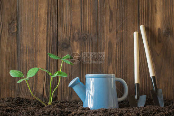 种植土地的工具浇水罐和木墙附近的植物图片