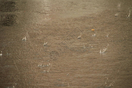 城市里的暴风雨天气图片