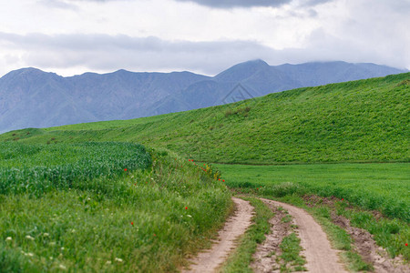 美丽的春天和夏天的风景在青山之间的山乡间小路青山绿水图片