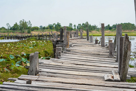 旧的木桥横跨河面水里有莲图片