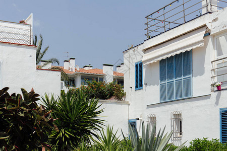 西班牙加泰罗尼亚有白色外表和蓝天空背景的房屋附近的绿色图片