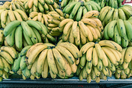 新加坡芽笼水果摊上的绿色自然成熟香蕉束街头市场上天然成图片