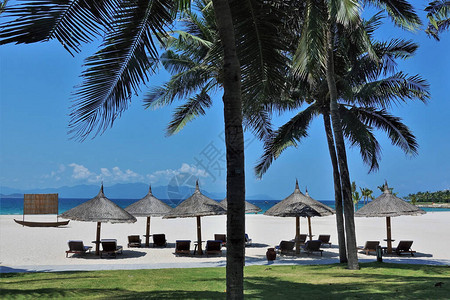 越南美丽的海滩白色沙滩上的躺椅和遮阳伞绿草上的棕榈树给人一种阴影绿松石的大海背景图片