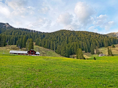 瑞士上瓦尔登州阿尔普纳什皮拉图斯山丘坡上的传统的农村建筑和家庭畜牧场KantonObwalden图片