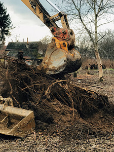 挖掘机将农村土地上的树木连根拔起推土机用泥土和垃圾从老树根和树枝上清除土地反铲机械图片