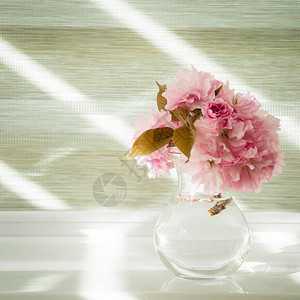高调照片窗台上的樱花绿色背景窗户上的灯光背景图片