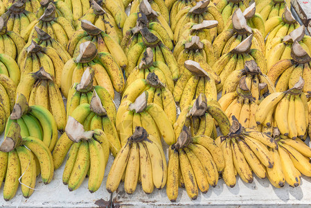 新加坡芽笼水果摊上的绿色自然成熟香蕉束街头市场上天然成图片