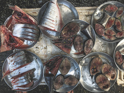 在越南油菜市场鱼市销售的各类松散鱼图片