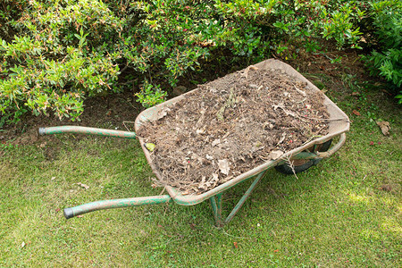 在花园里装满土壤或堆肥的独轮车园艺工具图片
