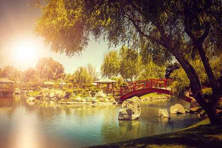 美丽的日本花园在智利拉塞雷纳日落时池图片