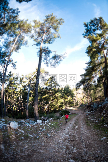 一个女人沿着山路奔跑赛跑者在森林里训练在公园里慢跑的女孩天跑鱼眼镜头图片