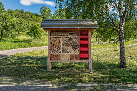 Wooden昆虫旅馆森林保护区野图片