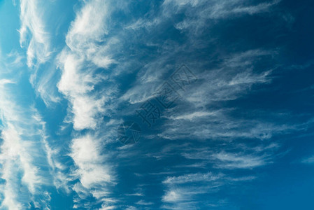 白天蓝上的羽毛云图片