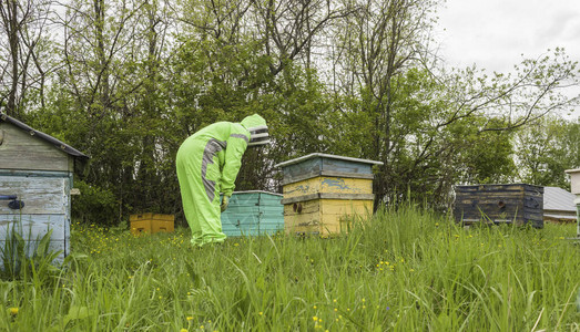 养蜂人身穿防护服的男子在养蜂场图片素材