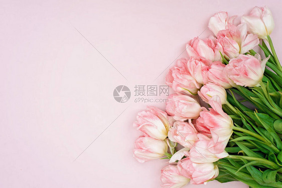 为母亲节生日复活节妇女节提供粉红色郁金香鲜花的春季贺卡模板复制空间图片