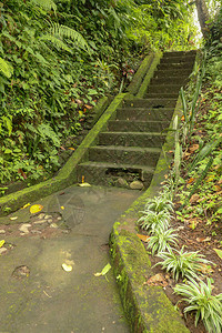 通往热带丛林徒步旅行和走在印度尼西亚巴厘岛的旧石阶通往热带丛林果阿吉里坎普汉瀑布的楼梯旧的混凝土楼梯图片