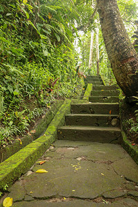 通往热带丛林徒步旅行和走在印度尼西亚巴厘岛的旧石阶通往热带丛林果阿吉里坎普汉瀑布的楼梯旧的混凝土楼梯图片