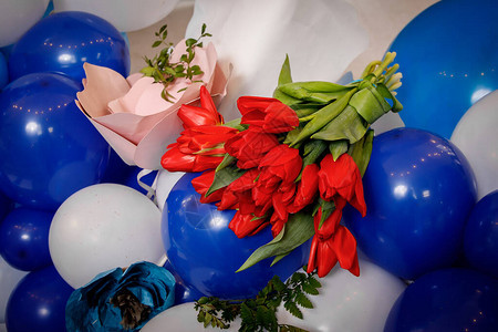 躺在蓝色和白色气球上的红色郁金香花束图片