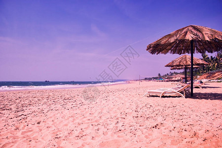 果阿的海滩景观印度的主要旅图片