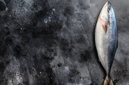 全新的日本新生黄尾鱼的戒律黑色背景顶层视图片