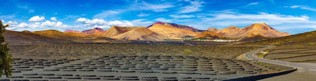 西班牙加那利群岛兰萨罗特火山葡萄园的风景黑色火山土壤上的拉背景图片