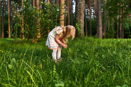 小女孩在森林的角林中惊图片