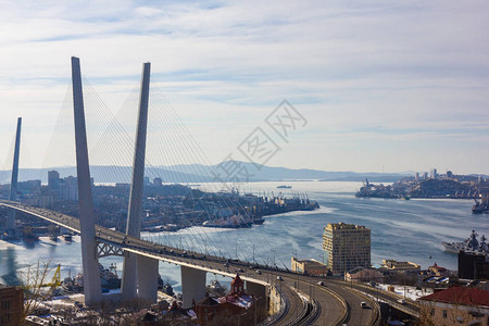 现代大城市码头横跨海湾的桥梁房屋和船只的全景图片