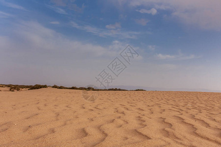 突尼斯沙漠中的沙丘图片