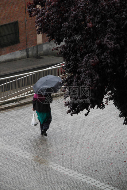 城里的雨天图片