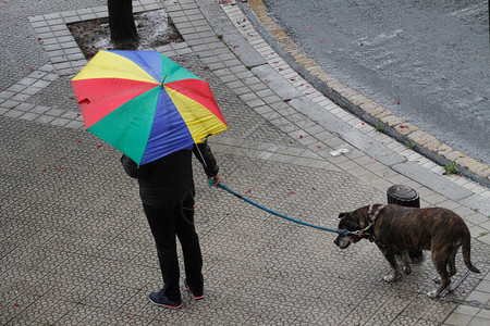 城里的雨天图片