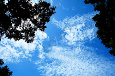 有白云和蓝天空背景的大图片