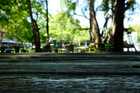 公共花园背景中自然布基的老木质桌图片