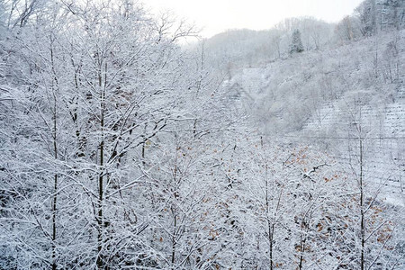 有雪背景的冬天山图片