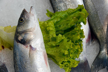 冰上的生鱼肉食品照片图片