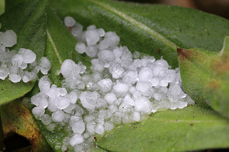 在暴雷之后巨大的冰雹图片素材