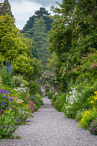 爱尔兰西科克格伦加里夫加里尼什岛上的美丽花园图片