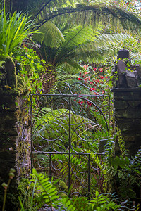 爱尔兰西科克格伦加里夫加里尼什岛上的美丽花园图片