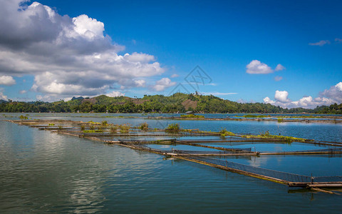 Cebu湖和棉兰老拉链线的美图片